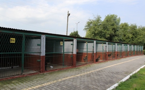 Odnowione boksy w schronisku dla zwierząt